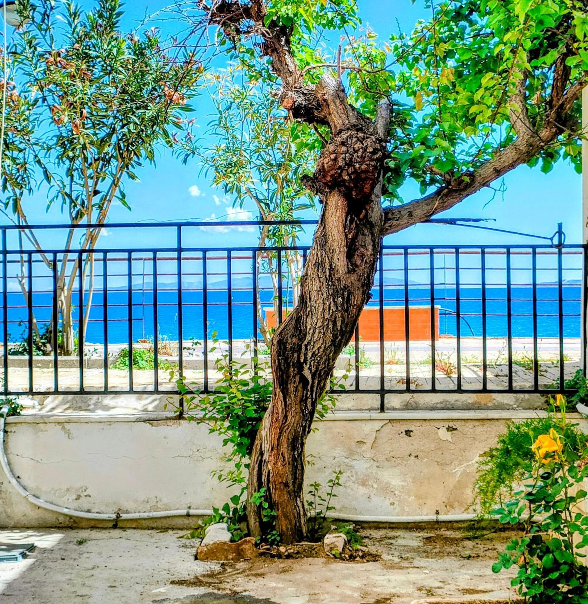 Seaside Agii Theodori